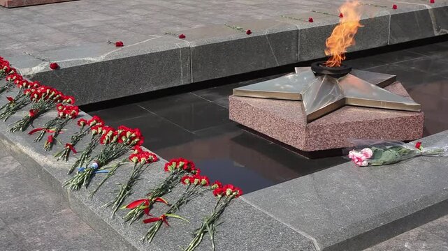 Victory day on 9 may, carnations flowers at eternal fire monument close up in honor, memory of the fallen soldiers in great World War II 1941-1945. Memorial complex stood to death, sleeping heroes