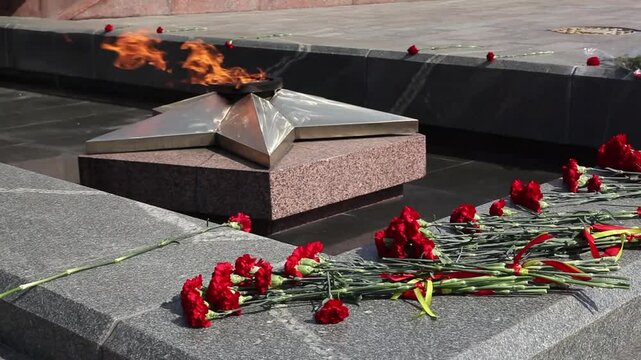 Victory day on 9 may, carnations flowers at eternal fire monument close up in honor, memory of the fallen soldiers in great World War II 1941-1945. Memorial complex stood to death, sleeping heroes