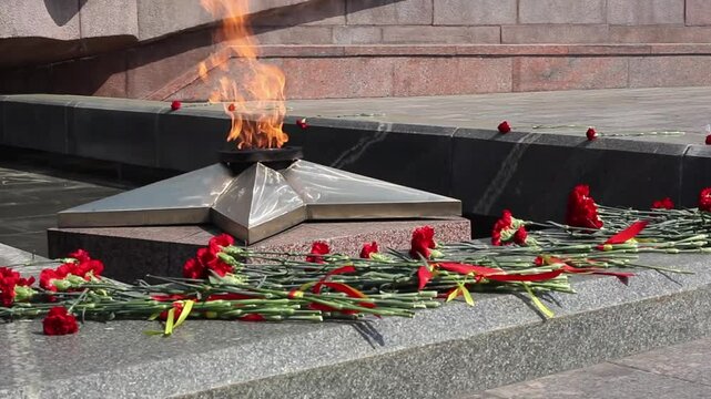 Victory day on 9 may, carnations flowers at eternal fire monument close up in honor, memory of the fallen soldiers in great World War II 1941-1945. Memorial complex stood to death, sleeping heroes
