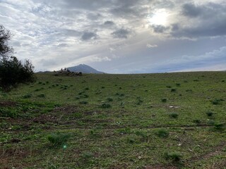 Obraz premium A peaceful scene