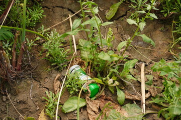 A discarded plastic bottle has found in the ground full with other green plants 