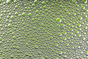 Abstract green background with a pattern of bubbles, spherical shapes