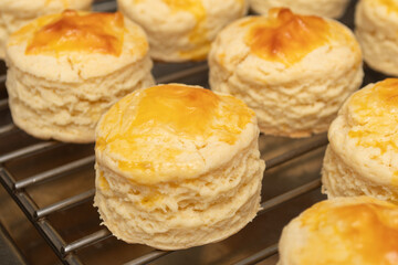 Homemade Cheese Scone freshly baked on a stack