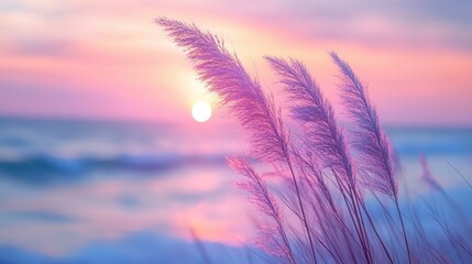 Serene coastal sunset with pink pampas grass and tranquil ocean waves
