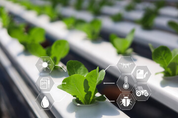 Smart farmer concept, Modern technology for sustainable practices, Intelligent AI digital farm wiht precision farming control, Climate monitoring, Farm management system, digital farm