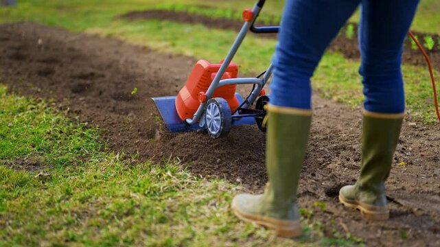 Woman preparing garden beds for planting. Rotovator, garden tiller, rotary tiller or mini cultivator. Cultivators break up compacted soil, improve its structure and aeration.