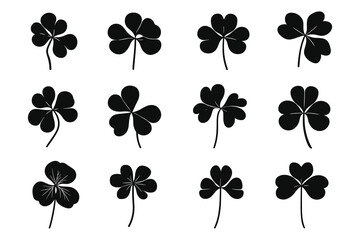 Set of black silhouette clover leaf icons, flat design, vector illustration, white background. Clover silhouette set vector design big pack of shamrock illustration and icon. 