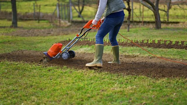 Woman preparing garden beds for planting. Rotovator, garden tiller, rotary tiller or mini cultivator. Cultivators break up compacted soil, improve its structure and aeration.