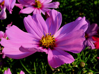 Schmuckkörbche mit KI erstellt