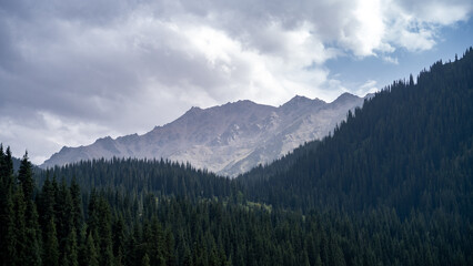 Fototapeta premium rocky mountain peaks in the clouds. cloud cover in the mountains