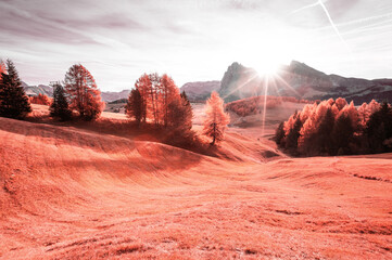 Fototapety na wymiar - Fototapeta24.pl