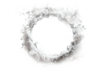 A circular cloud of white and gray particles against a stark white background in a close up view