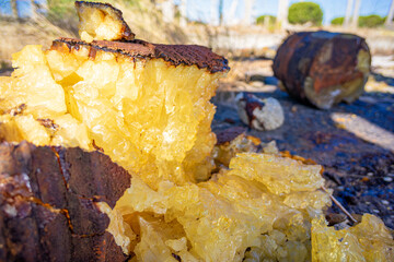 Yellow resin dried and degraded in an industrial environment.