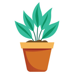 Green Plant in Pot Isolated on White