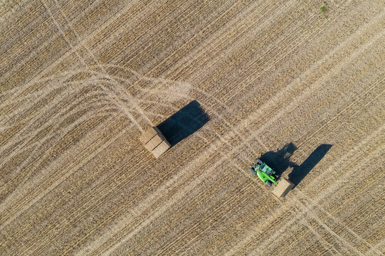 Aerial view of a cultivated cornfield with a tractor in a green countryside landscape, Cordoba, provincia de Cordoba, Spain.