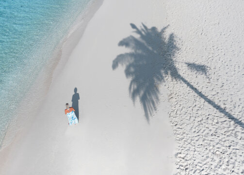 Aerial view of a serene tropical beach with clear turquoise water and palm tree shadows, Thoddoo, Alif Alif Atoll, Maldives.