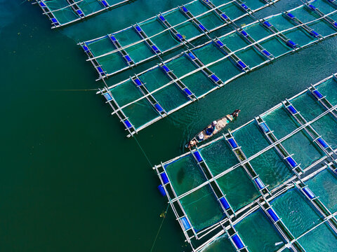 Aerial view of colorful fishing boats and nets on tranquil Kaptai Lake surrounded by vibrant greenery, Rangamati, Chittagong, Bangladesh.