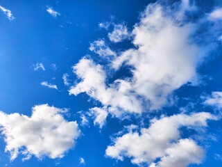 The sky was bright blue with pure white clouds like soft cotton.