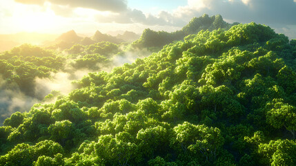 Lush green rainforest mountains