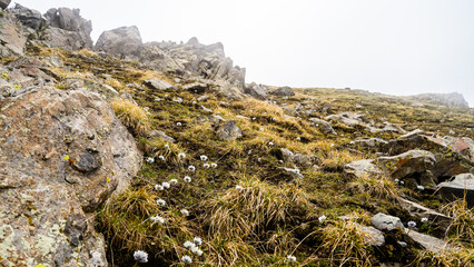 rocky mountain peaks in the clouds. cloud cover in the mountains