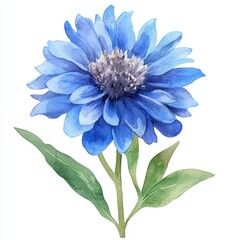 The blue wildflowers in the watercolor painting are contrasted with a white background