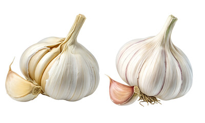 Obraz premium Set of Garlic isolated and a Set of garlic set isolated on a white background