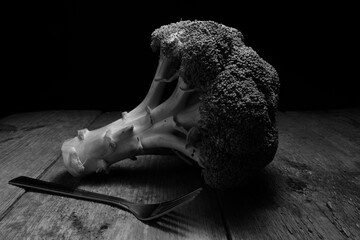 A broccoli in black and white picture with it's shape, fork and lots of tones and shadows .