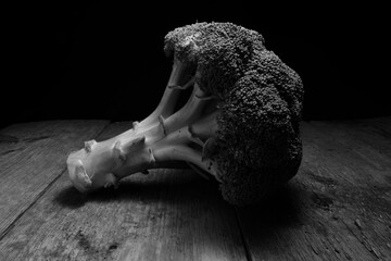 A broccoli in black and white picture with its shope and lots of tones and shadows.