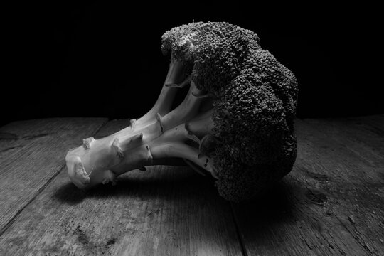 A broccoli in black and white picture with its shope and lots of tones and shadows.