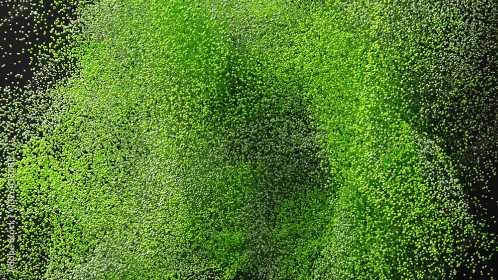 Poster 3d render of abstract art particle video animation with 3d small particle in green color