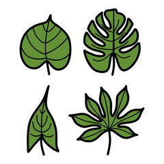 Set of hand drawn tropical leaf decorative vector collection