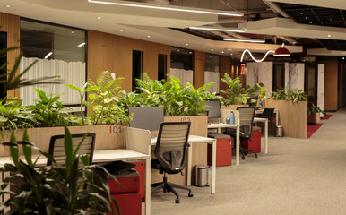 Green Workspaces: A Modern Office with Nature's Touch