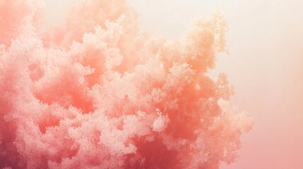 Soft coral fading into creamy peach plain background