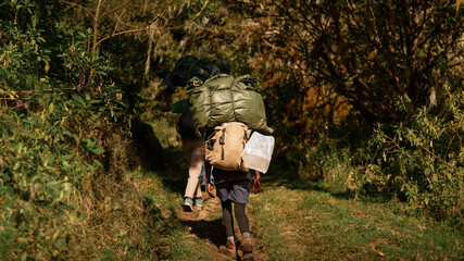Naklejka premium Porters carrying supplies trekking on mount meru, arusha national park, tanzania. Porters carrying heavy supplies walking on a trail during a trekking expedition on mount meru, arusha national park, t