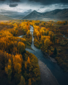 Aerial view of a winding river surrounded by colorful autumn foliage and serene mountains, Almont, Colorado, United States.