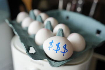 Box of white eggs with one egg marked with dollar signs, depicting high egg prices. Egg...