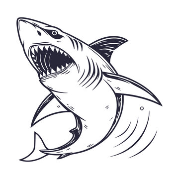 Shark Hand Drawn Style Vector Clipart Isolated Illustration on white background.