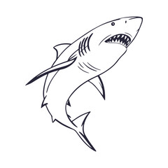 Fototapeta premium Shark Hand Drawn Style Vector Clipart Isolated Illustration on white background.