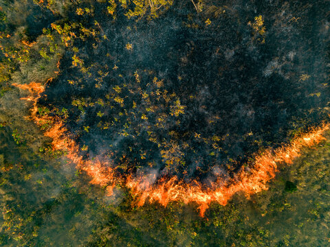 Aerial view of burned fields with smoke rising and scorched earth, Sameakki, Stung Treng Municipality, Cambodia.
