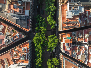 Aerial view of vibrant cityscape with colorful rooftops and greenery, Ciutat Vella, Barcelona, Spain.