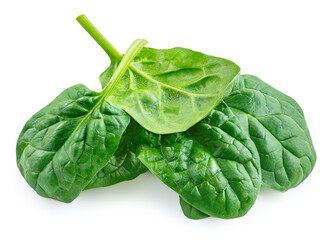 Spinach leaves isolated on white background. Baby Spinach leaf Flat lay. Top view.  Espinach leaves