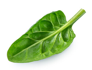 Spinach leaves isolated on white background. Baby Spinach leaf Flat lay. Top view.  Espinach leaves
