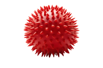 A close up shot of a red spiky ball isolated on a white background showing its texture and shape clearly