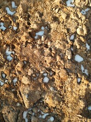 Spring melting snow with sand