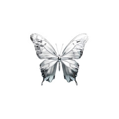 Silver Metallic Butterfly - Elegant Nature Design