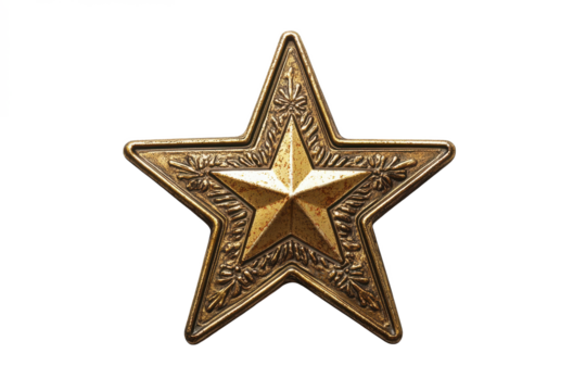A close up of a golden star shaped object with intricate details against a white background in the center