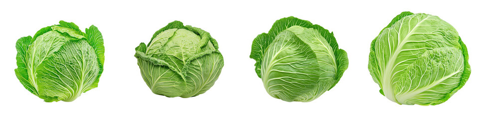 Four fresh green cabbages displayed in varying sizes, showcasing their vibrant leaves and unique shapes.