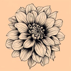 Ultra Detailed Vintage Dahlia Flower Tattoo Set Against Light Peach Background