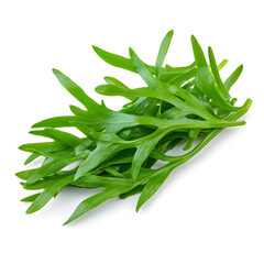 Fototapeta premium Raw green seaweed strips isolated on white background. Sea food