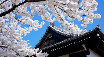 Blooming Cherry Blossoms Framing Traditional Japanese Roof Against Blue Sky